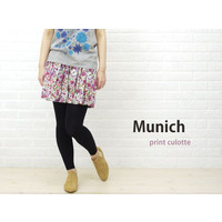 Munich Lk